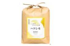 ＜発送月固定定期便＞＜先行予約＞岐阜県産ハツシモ(精米)10kg＜2・3月発送＞全2回【4073184】