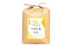 ＜発送月固定定期便＞＜先行予約＞岐阜県産ハツシモ(精米)5kg＜1・2月発送＞全2回【4073305】