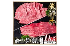 レビューキャンペーン実施中!飛騨牛　厳選肩ロース・赤身(焼肉・BBQ用)1kg　A4～A5　小分け【1667361】