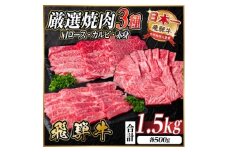 レビューキャンペーン実施中!飛騨牛　厳選焼肉3種(肩ロース・カルビ・赤身)1.5kg(各500g)【1668600】