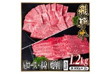 レビューキャンペーン実施中!飛騨牛　厳選肩ロース・赤身(焼肉・BBQ用)1.2kg(各300g×2)【1667366】