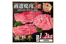 レビューキャンペーン実施中!飛騨牛　厳選焼肉3種(肩ロース・カルビ・赤身)1.2kg(各400g)【1669123】