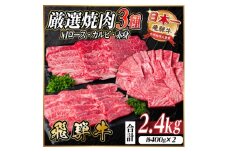 レビューキャンペーン中!飛騨牛　厳選焼肉3種(肩ロース・カルビ・赤身)計2.4kg(各400g×2)【1669124】