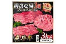 レビューキャンペーン中!飛騨牛　厳選焼肉3種(肩ロース・カルビ・赤身)計3kg(各500g×2)【1669125】