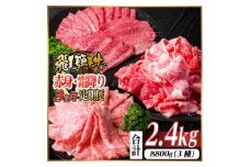 ＜毎月定期便＞飛騨牛 赤身・霜降り定期便 計2.4kg　焼肉 BBQ すき焼き しゃぶしゃぶ全3回【4074146】