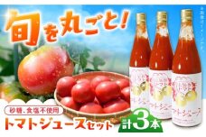 石川農園 みんなで飲もっか！トマトジュースセットＥ / 完熟トマト とまと 健康 美肌 ビタミン セット 食べ比べ 野菜 やさい とまと 健康 美容 ギフト贈答 プレゼント 岐阜県産 恵那市産 とまと / 恵那市 / クリエイティブファーマーズ [AUAH003]