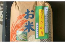 栃久保の棚田米（コシヒカリ）精米15kg / ふるさと納税米 ブランド米 お米 白米 / 恵那市 / 恵那市栃久保棚田保存会 [AUAR003]