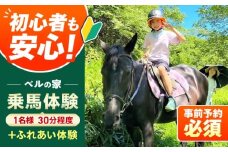 乗馬体験券（ふれあい、30分程度の乗馬）1名分 チケット 馬 岐阜 乗馬 乗馬体験 体験 旅行 観光 お取り寄せ 送料無料 贈答 ギフト プレゼント 醤油 しょうゆ 刺身醤油 クラフト醤油 調味料 詰合せ レトロ セット ギフト お取り寄せ 送料無料 贈答 ギフト プレゼント 恵那市 / ベルの家 [AUCN001]