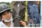 乗馬体験券（ふれあい、30分程度の乗馬）1名分