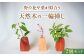 一輪挿し 花瓶 花びん ナラ クリ カエデ ヤマザクラ 木製 木目 新生活 新生活応援 引っ越し インテリア お祝い