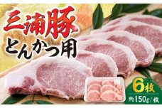 三浦豚 豚肉 ロース900ｇ（ステーキ/とんかつ用）/ ブランド豚 国産 ポーク とんかつ 恵那市 / あづま精肉店 [AUDL002]