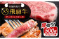 飛騨牛 牛肉 和牛 ステーキ 焼肉