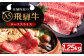 飛騨牛 ローススライス A5ランク 1250g