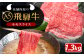 飛騨牛 牛肉 和牛 お肉 国産 岐阜県産 霜降り モモ ご馳走 ご褒美 パーティー しゃぶしゃぶ すき焼き 焼肉 BBQ お正月