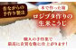 昔ながらのロジブタ作り 生米こうじ 米3合分×3袋 / 米糀 麹 手作り  / マルコ醸造 [AUCT016]