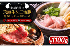 飛騨牛ロース800g 三浦豚ロース300g 豪華しゃぶしゃぶセットA 和牛 国産 霜降り 恵那市 / 岩島屋 [AUAJ025]