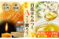 恵那蜂蜜・蜜蝋セット (百花蜂蜜180g×1本、Aランク蜜蝋100g:50g2枚)