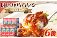 ハヤシライス「はいからハヤシ」 200g×6パック / ハヤシライス はやしらいす レトルト 非常用 常温 カレー かれー / 恵那市 / 日本大正村 [AUBS002]