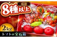 トマトの宝石箱 2kg / トマト とまと 大玉トマト ミニトマト 詰め合わせ / 恵那市 / クリエイティブファーマーズ ［AUAH014］