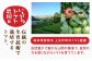 【2025年7月上旬から9月上旬に順次発送】トマトの宝石箱 2kg