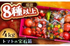 トマトの宝石箱 4kg / トマト とまと 大玉トマト ミニトマト 詰め合わせ / 恵那市 / クリエイティブファーマーズ ［AUAH015］
