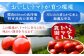 【2025年7月上旬から9月上旬に順次発送】トマトの宝石箱 4kg