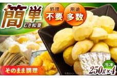 【先行予約】【2025年9月下旬から12月下旬に順次発送】冷凍むき栗「日本栗」 計1kg（250g×4P） / 栗 冷凍 生栗 くり むき栗 マロン 低温熟成 日本栗 国産 岐阜県産 恵那市産 産地直送 送料無料 お取り寄せ ギフト 贈答 プレゼント / 恵那市 / えな笠置山栗園 [AUAV003]