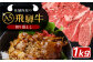 飛騨牛 牛肉 和牛 お肉 国産 岐阜県産 霜降り 切り落とし ご馳走 ご褒美 パーティー 焼肉 BBQ 送料無料