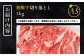 飛騨牛 牛肉 和牛 お肉 国産 岐阜県産 霜降り 切り落とし ご馳走 ご褒美 パーティー 焼肉 BBQ 送料無料