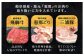 飛騨牛 牛肉 和牛 お肉 国産 岐阜県産 霜降り 切り落とし ご馳走 ご褒美 パーティー 焼肉 BBQ 送料無料