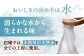 わらび餅食べ比べセット