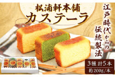 カステーラ 5本 詰め合わせ 焼菓子 セット カステラ 恵那市 / 松浦軒本舗 [AUCR001]