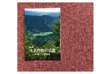 上矢作町の仏像 1冊 / 本 仏教 寺 / 恵那市 / 上矢作地域自治区運営協議会 [AUDH014]