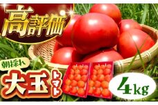 ＼キャンペーン実施中！／【先行予約】【2025年7月中旬から10月中旬に順次発送】訳あり大玉トマト 4kg / 朝採り 甘い トマト 訳あり 訳アリ お取り寄せ 産地直送 とまと トマト 野菜 やさい ギフト 贈答 プレゼント 岐阜市産 恵那市産 / 恵那市 / クリエイティブファーマーズ [AUAH016]