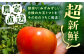 訳あり 甘い 桃太郎 とまと 大きい 果肉  新生活 新生活応援 新社会人 お祝い トマト 野菜 朝採り