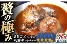 -あふひ 贅の極み- まるごと玉葱と飛騨牛のシチュー 2人前×4個セット / レトルトビーフシチュー 常温保存 時短 非常食 / 恵那市 / テンポイント [AUEU007]