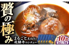 -あふひ 贅の極み- まるごと玉葱と飛騨牛のシチュー 2人前×5個セット / レトルトビーフシチュー 常温保存 時短 非常食 / 恵那市 / テンポイント [AUEU008]