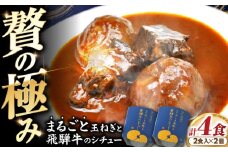 -あふひ 贅の極み- まるごと玉葱と飛騨牛のシチュー 2人前×2個セット / レトルトビーフシチュー 常温保存 時短 非常食 / 恵那市 / テンポイント [AUEU005]