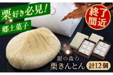 美栗舎の栗きんとん 計12個（6個×2箱）/ 栗 くり 栗きんとん くりきんとん 季節 秋 限定 栗 岐阜 セット 手土産 和菓子 スイーツ お菓子 / 恵那市 / 銀の森 [AUBG028]