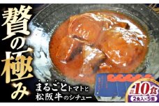 -あふひ 贅の極み- まるごとトマトと松阪牛のシチュー レトルト 2人前×5個セット ビーフシチュー デミグラスソース 保存食 恵那市 / テンポイント [AUEU032]