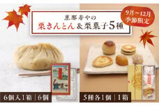 【先行予約】【着日指定要】【2025年10月上旬より順次発送】栗きんとん6個と栗菓子5種類 / 栗 くり 栗きんとん マロン まろん 和菓子 栗がし 先行予約 / 恵那市 / 恵那寿や〈配送不可地域：北海道・青森・秋田・宮崎・鹿児島・沖縄・離島〉 [AUAS010]