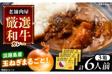 丸小本店 老舗肉屋の淡路島産の玉ねぎまるごと和牛カレー 2人前450g×3個セット レトルト ビーフカレー 国産牛 恵那市 / テンポイント [AUFN013]