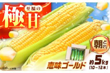 ＼キャンペーン実施中！／【先行予約】【2025年7月から8月上旬に順次発送】とうもろこし 恵味ゴールド 約5kg(梱包込) / 野菜 やさい コーン / 恵那市 / 大島農園 [AUEH001]