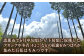 恵那 百花蜂蜜 2本セット (1000g×2本)