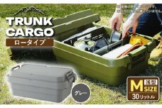 【グレー】トランクカーゴ ロータイプM 1個 /収納 物置 コンテナ アウトドア 防災 防災グッズ / 恵那市 / 東谷株式会社　明智流通センター [AUAD035]