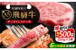 【6回定期便】 飛騨牛 サーロインステーキ (A5ランク) 250g×2枚