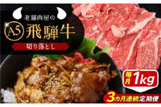 【3回定期便】 飛騨牛 切り落とし肉 A5ランク 1kg 和牛 国産 霜降り 恵那市 / 岩島屋 [AUAJ033]