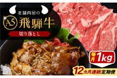 【12回定期便】 飛騨牛 切り落とし肉 A5ランク 1kg 和牛 国産 霜降り 恵那市 / 岩島屋 [AUAJ035]