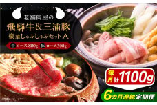 【6回定期便】 飛騨牛ロース800g 三浦豚ロース300g 豪華しゃぶしゃぶセットA 和牛 国産 霜降り 恵那市 / 岩島屋 [AUAJ046]