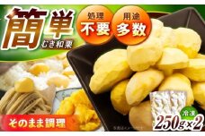 【先行予約】【2025年9月下旬から12月下旬に順次発送】冷凍むき栗「日本栗」 計500g（250g×2P） / 栗 冷凍 生栗 くり むき栗 マロン 低温熟成 日本栗 国産 岐阜県産 恵那市産 産地直送 送料無料 お取り寄せ ギフト 贈答 プレゼント / 恵那市 / えな笠置山栗園 [AUAV005]